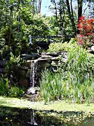 garden photo